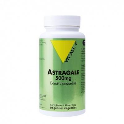 Astragale 500mg 60 Capsules 500mg Vit'All+