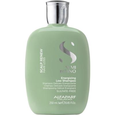 Alfaparf Milano Semi Di Lino Scalp Shampooing bas &eacute;nergisant 1 L