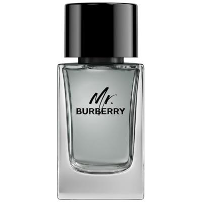 Burberry Mr. Burberry Eau de Toilette Vaporisateur 100ml