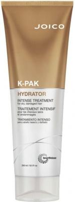 Joico K-Pak Intense Hydrator Soin hydratant intensif 250ml