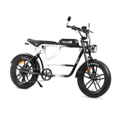 V&eacute;lo &Eacute;lectrique Youin BK7000 MIAMI 250 W 20