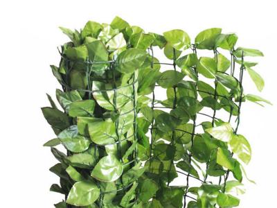 Haie artificielle Feuilles de rosier 6 m - 2 rouleaux 3 x 1 m -