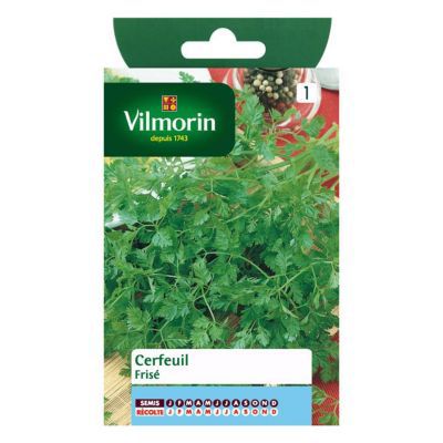 Vilmorin - Cerfeuil Frise Serie 1