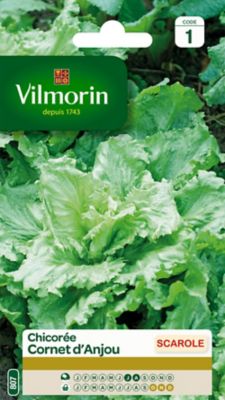Vilmorin - Sachet de graines Chicor&eacute;e Scarole Cornet d'Anjou