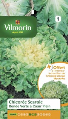 Vilmorin Sachet graines Chicor&eacute;e Scarole Ronde Verte &agrave; Coeur Plein