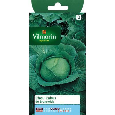 Vilmorin - Chou Cabus de Brunswick