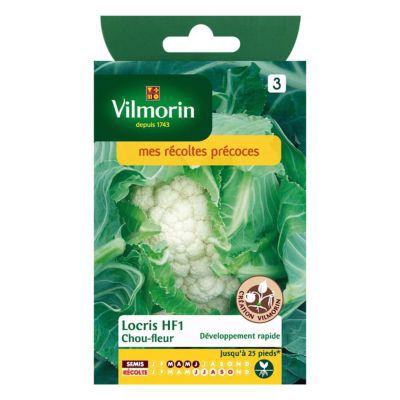 Vilmorin - Sachet de graines Chou Fleur LOCRIS HF1 - Cr&eacute;ation Vilmorin