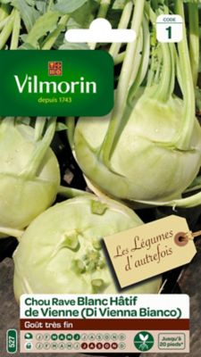 Graines de Chou Rave Blanc H&acirc;tif de Vienne Vilmorin