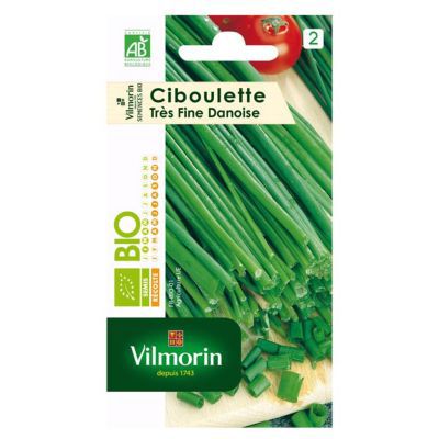 Sachet graines Ciboulette tr&egrave;s fine danoise BIO - Allium schoenoprasum