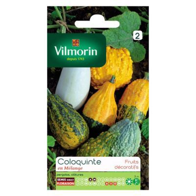 Vilmorin 5237842 Coloquinte, Multicolore, 90 x 2 x 160 cm