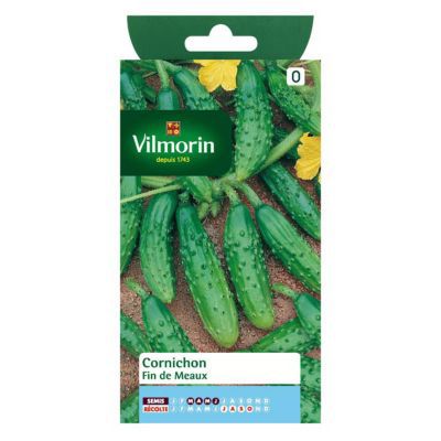 Graines de Cornichon Fin de Meaux
