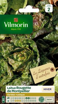 Graines de Laitue Rougette du Midi &agrave; Graines Noires Vilmorin