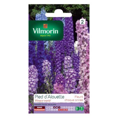 Vilmorin - Sachet graines Pied d'Alouette Delphinium vivace vari&eacute;