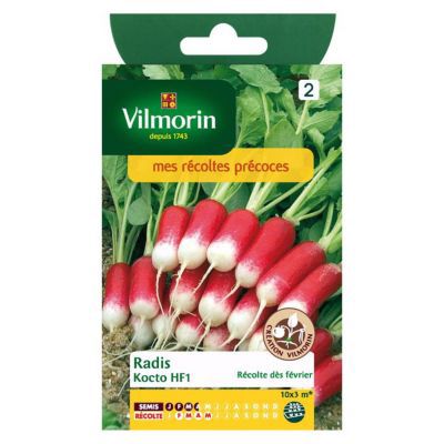 Vilmorin - Sachet de graines Radis Kocto HF1 Cr&eacute;ation vilmorin