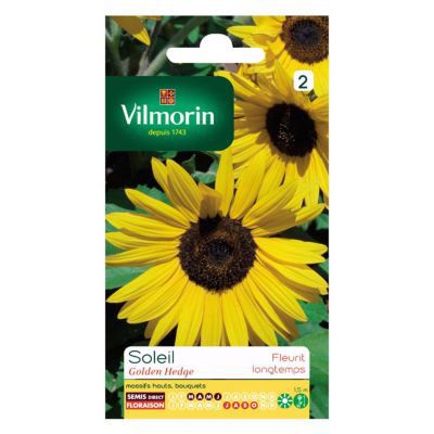VILMORIN Tournesol Golden Hedge floraison tr&egrave;s longue