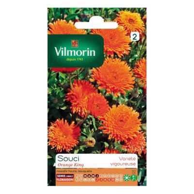 Vilmorin - Sachet graines Souci orange King