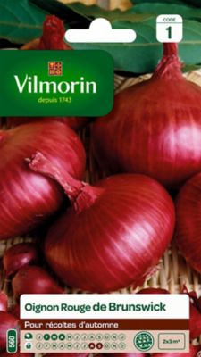 Graines d'Oignon Rouge de Brunswick Vilmorin