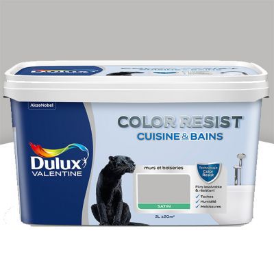 Peinture Color Resist Cuisine et Bains - Beton gris - Satin - 2L