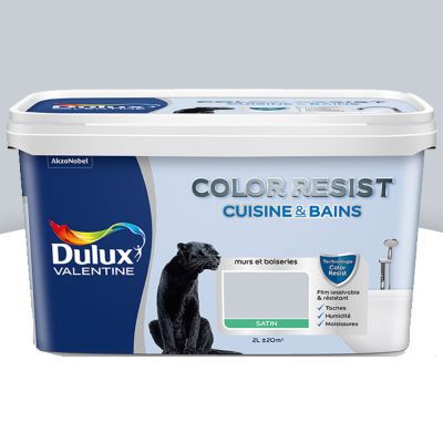 Peinture Color Resist Cuisine et Bains - Hammam - Satin - 2L
