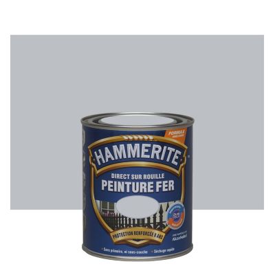 Hammerite fer brillant 750ml argent 070743 - Julien