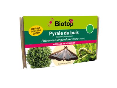 Ph&eacute;romones Pyrale du buis Ginko Buxus longue dur&eacute;e x2