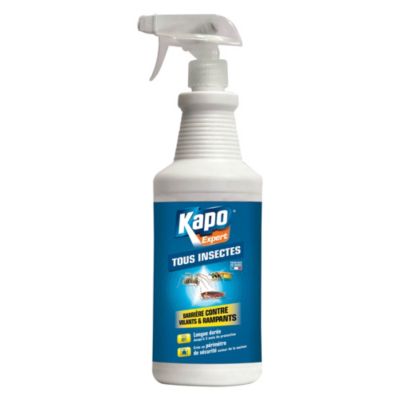 Pulv&eacute;risateur insecticide pour tous insectes KAPO, 1 L