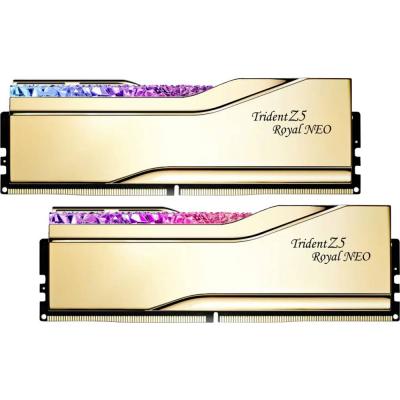 M&eacute;moire PC G.Skill F5-8000J3848H16GX2-TR5NG (2x16G DDR5 8000 PC64000) 