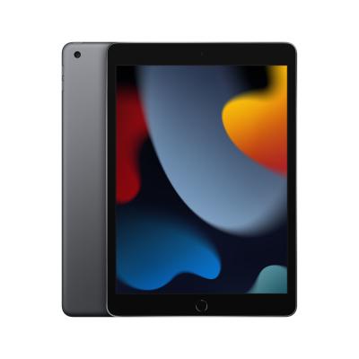 Tablette Apple Ipad 10.2 64Go Gris sid&eacute;ral