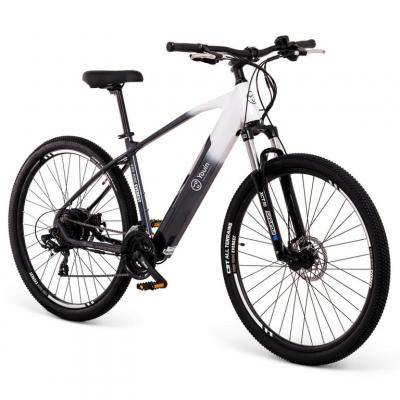 Youin You-Ride Everest Noir, Blanc Aluminium M 73,7 cm (29 ) - Neuf