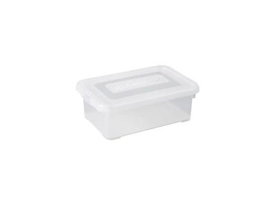 CURVER HANDY 4L, Rangement, Transparent, 29,4 x 19,4 x 10 cm