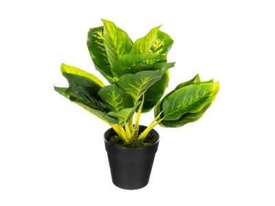 Atmosphera Plante artificielle, pot en ciment, H30 cm  - Noir,Or