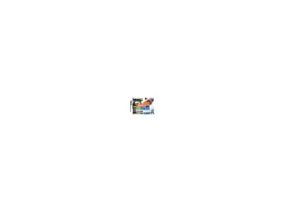 Brico Utile Nintendo Ds