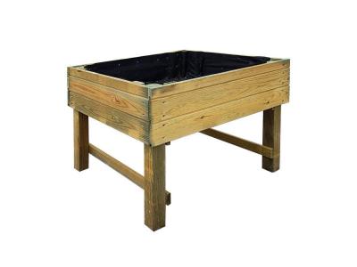 Carr&eacute; potager sur&eacute;lev&eacute; enfants 60x50 mini gariguette 1579 jardipolys