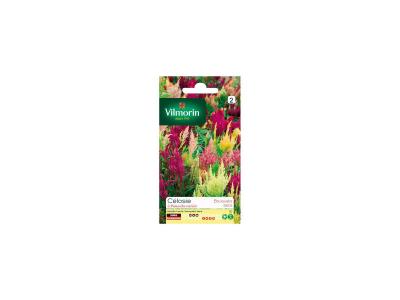 Vilmorin - C&eacute;losie &agrave; panache vari&eacute; Vilmorin