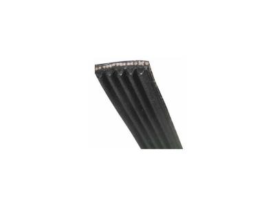 ELECTROLUX Courroie 1199 j5 mael extensible Arthur Martin 146247700