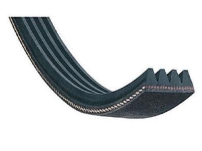 Courroie 1966h9 El Optibelt Pour Seche Linge - Blh773un