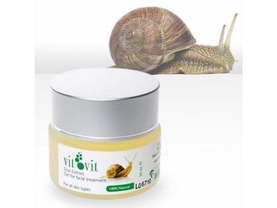 Diet Esthetic - Vit Snail Extract Gel Diet Esthetic Soin visage 50 ml
