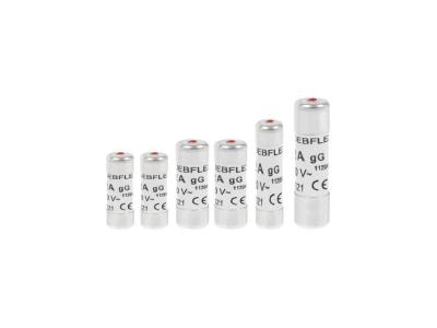 Fusible Avec Voyant Lot 2x(10a+16a) 1x(20a+32a) Sachet De 6