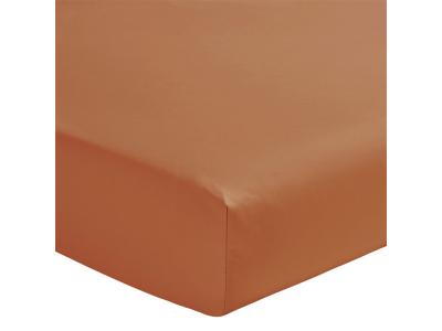ESSIX Drap housse en percale de coton couleur Ecureuil - 140 x 190 cm