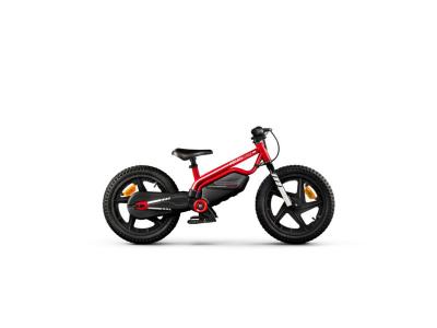 Ducati E-Moto E-V&eacute;lo Jeunesse Unisexe, Rouge Noir, Unique Taille