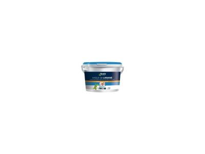 Enduit De Lissage P&acirc;te Bostik - Le Pot De 5 Kg