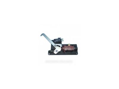 Ensemble serrure avec levier + micro switch pour four smeg - 9526237
