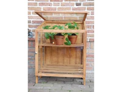Esschert Design - Mini serre de jardin en bois dur 60 cm