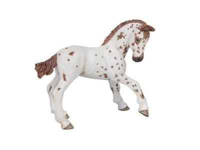 Figurine cheval apaloosa : poulain
