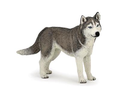 PAPO 54035 Figurine Husky de Sib&eacute;rie