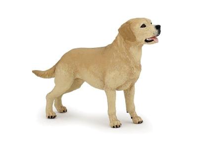 Chiens Et Chats De Collection Labrador