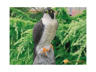 Apollo Gardening Ltd BioPure 2000 Basic Ubbink Valk Multicolore