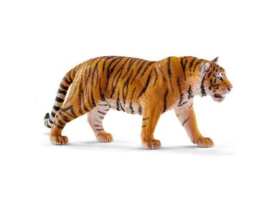 Wild Life Tigre Du Bengale M&acirc;le