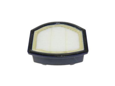 Hoover 35601149 S101 Hepa Filter Filtre Pr&eacute; Moteur, Mixte