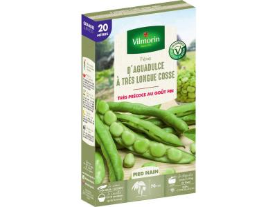 Vilmorin 1301651 Pack de Graines F&egrave;ve d'Aguadulce &agrave; Tr&egrave;s Longue Cosse